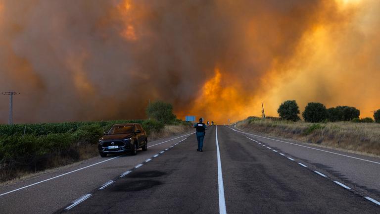 Dichter Rauch ist während eines Waldbrandes am Rande einer Landstraße zu sehen.