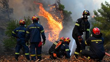 Feuerwehrleute sind bei einem Waldbrand in der Nähe von Porto Germeno nordwestlich von Athen. 