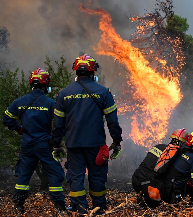Feuerwehrleute sind bei einem Waldbrand in der Nähe von Porto Germeno nordwestlich von Athen. 