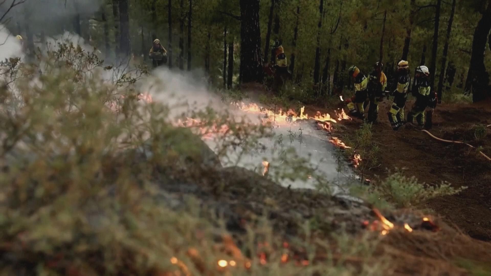 Waldbrände auf La Palma