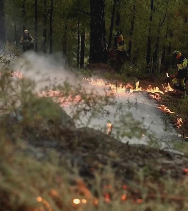 Waldbrände auf La Palma