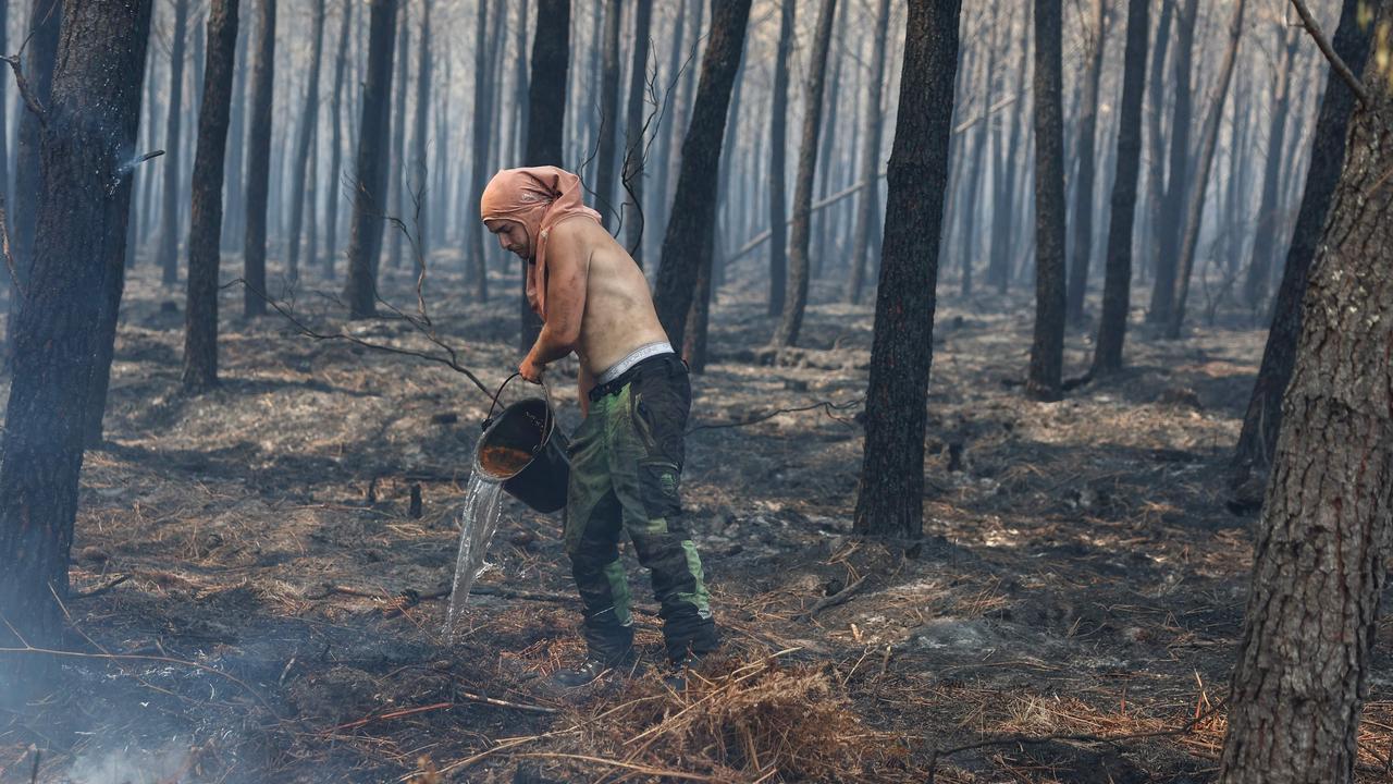 Forest fires are raging in Southern Europe and Turkey: An overview of the ...