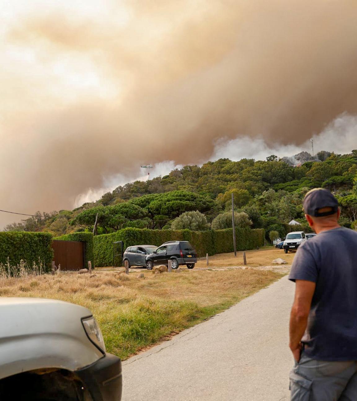 Ausgedehnte Waldbrände in der Region von Cadiz in Spanien