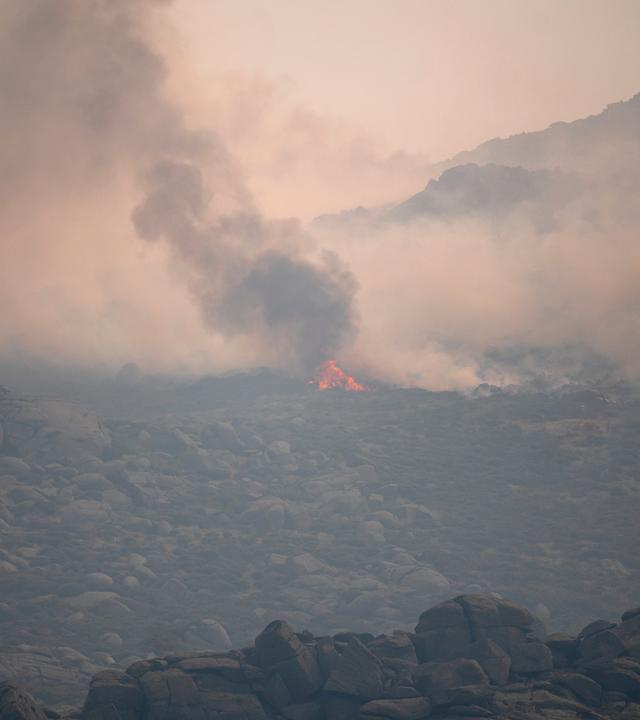 Spanien: Mijares: Ein Wald durch einen Waldbrand von Rauch und Flammen umgeben. 