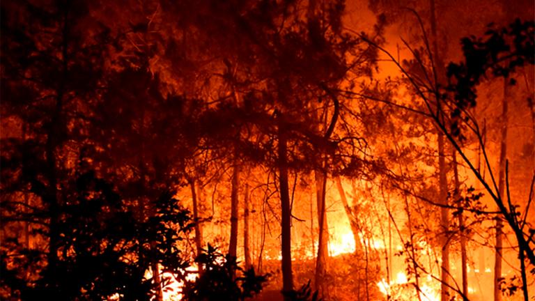 Frankreich, Bordezac: Bäume stehen in Flammen bei einem Brand in Südfrankreich. 