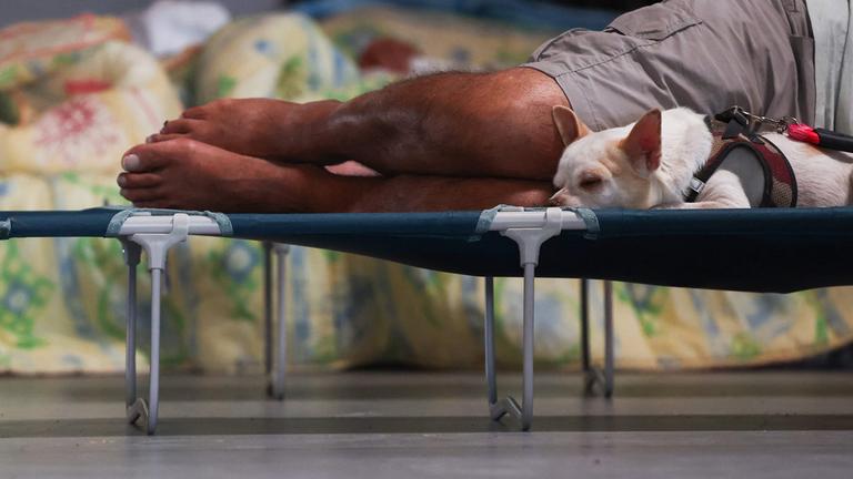 Eine Person liegt gemeinsam mit ihrem Hund auf einem Feldbett in der Gerard-Blanc-Festivalhalle in Le Porge.