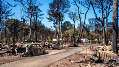 Die Auswirkungen der Waldbrände an der französischen Mittelmeerküste bei Canet-en-Roussillon