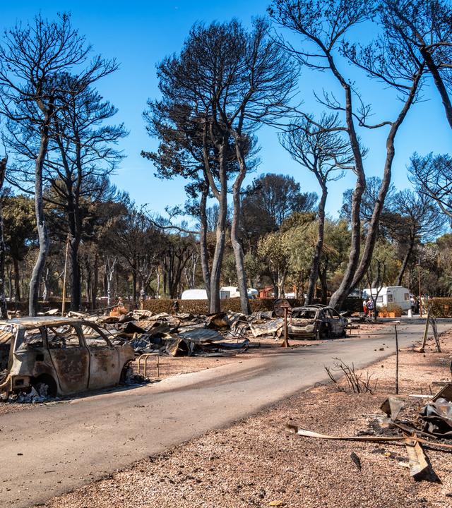 Die Auswirkungen der Waldbrände an der französischen Mittelmeerküste bei Canet-en-Roussillon