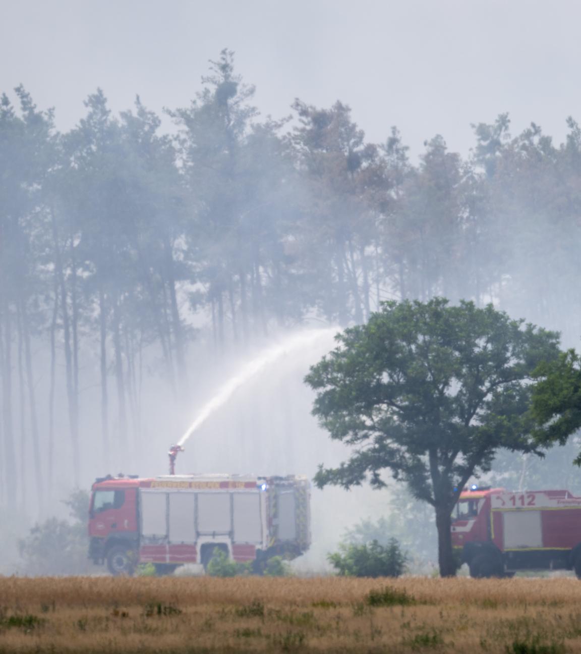 Löschfahrzeuge der Feuerwehr sind im Einsatz bei einem Wald- und Vegetationsbrand in der Gohrischheide im Landkreis Meißen. 