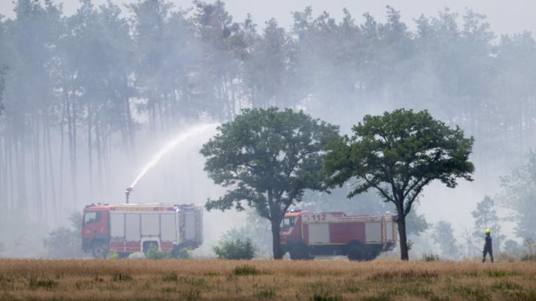 Löschfahrzeuge der Feuerwehr sind im Einsatz bei einem Wald- und Vegetationsbrand in der Gohrischheide im Landkreis Meißen. 