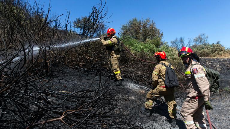  Griechenland, Schimatari: Feuerwehrleute bekämpfen einen Waldbrand.