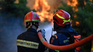 Griechenland: Porto Germeno: Feuerwehrleute bei einem Waldbrand in der Nähe von Porto Germeno.