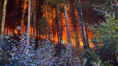 Flammen schlagen in einem Wald nahe Schramberg im Landkreis Rottweil in die Höhe