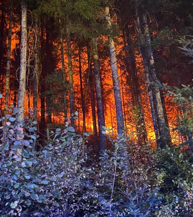 Flammen schlagen in einem Wald nahe Schramberg im Landkreis Rottweil in die Höhe