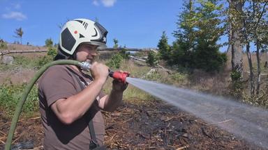 Feuerwehrmann löscht Waldbrand in Thüringen