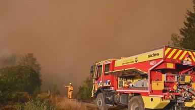 Ein Feuerwehrwagen vor dichtem Rauch im Wald.