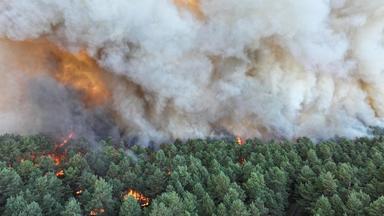 Dieses am 12.07.2026 von der Feuerwehr SDIS 77 aufgenommene und veröffentlichte Foto zeigt einen im Wald von Fontainebleau wütenden Brand. 