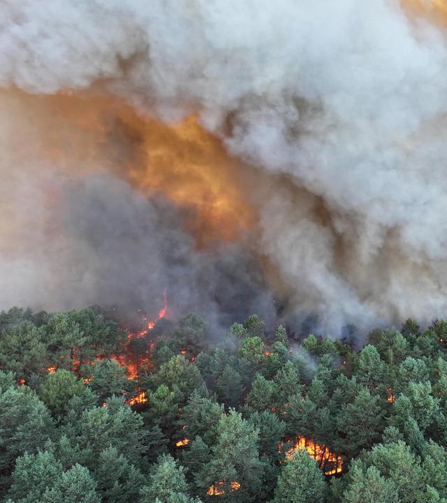 Dieses am 12.07.2026 von der Feuerwehr SDIS 77 aufgenommene und veröffentlichte Foto zeigt einen im Wald von Fontainebleau wütenden Brand. 