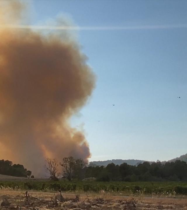 Waldbrände in Frankreich
