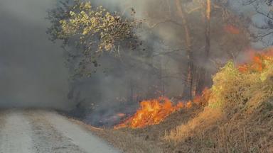 Ein Waldbrand