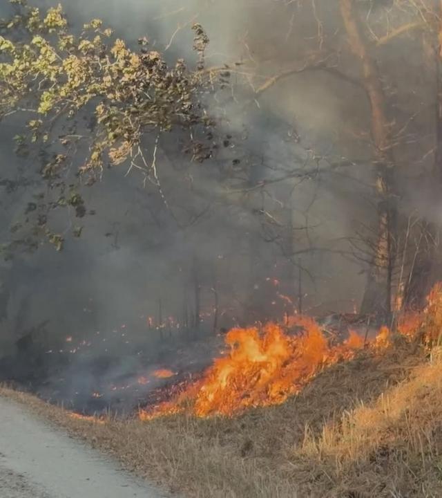 Ein Waldbrand