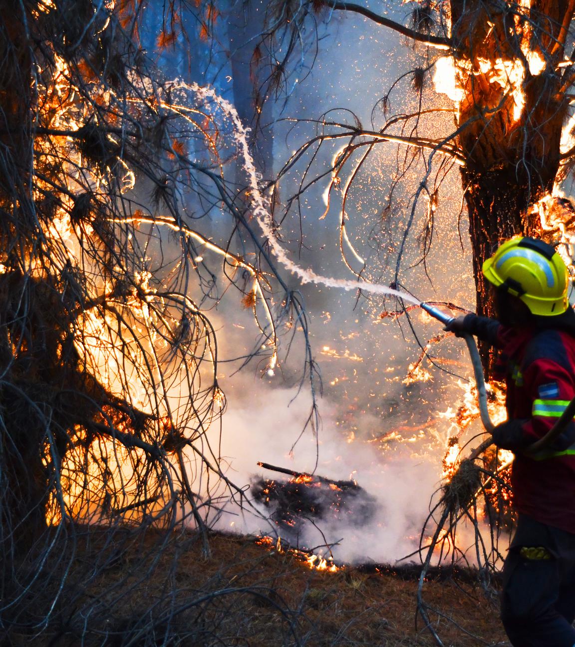 Feuerwehrleute bekämpfen Flammen, während im argentinischen Epuyen, Patagonien, am 11.01.2026, Waldbrände wüten. 