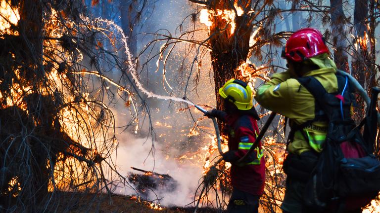 Feuerwehrleute bekämpfen Flammen, während im argentinischen Epuyen, Patagonien, am 11.01.2026, Waldbrände wüten. 
