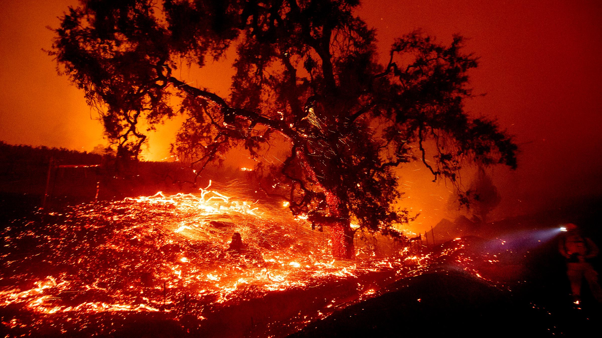 Waldbrände in Kalifornien: Nordkalifornien