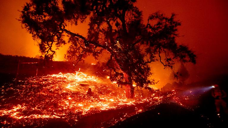 Waldbrände in Kalifornien: Nordkalifornien