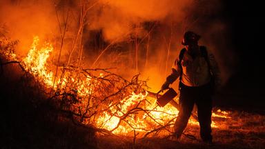Feuerwehrleute bekämpfen das Sandy Fire in Simi Valley.