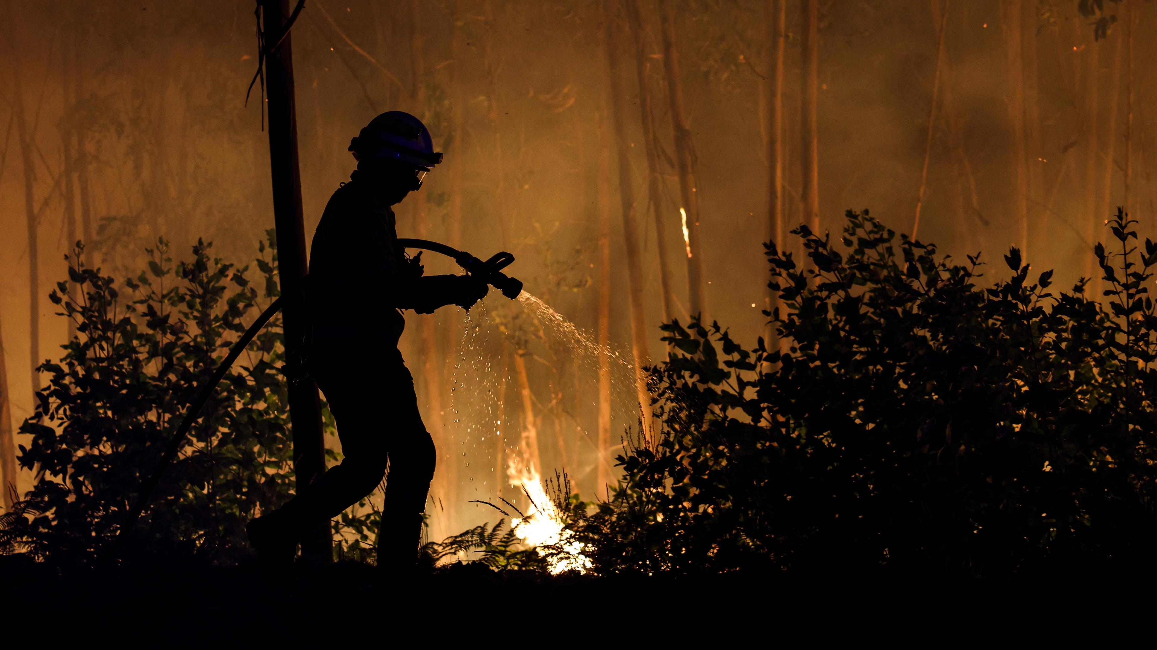 Ein Feuerwehrmann kämpft gegen einen Waldbrand in Arouca im Norden Portugals.