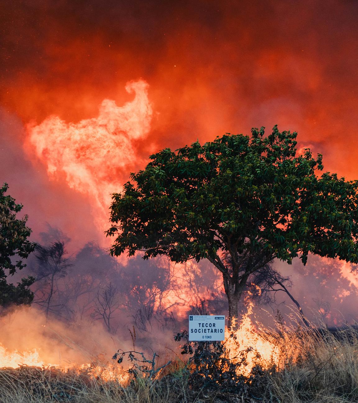 Verheerender Waldbrand in der Gemeine Bousés, Provinz Ourense in Galizien.