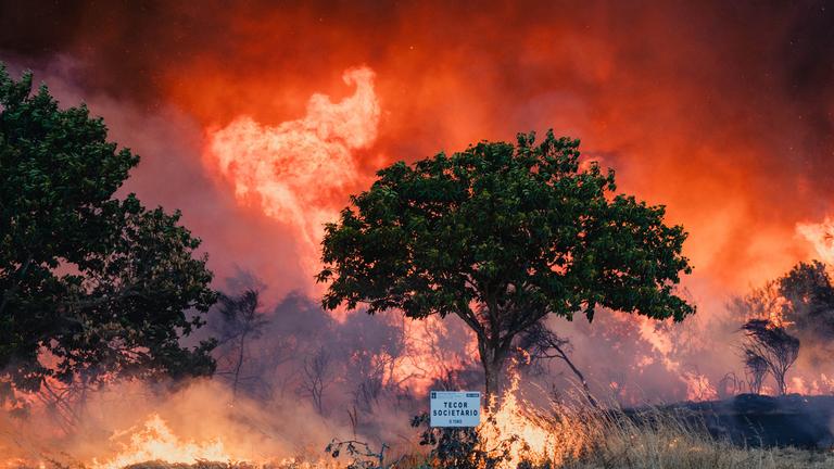 Verheerender Waldbrand in der Gemeine Bousés, Provinz Ourense in Galizien.
