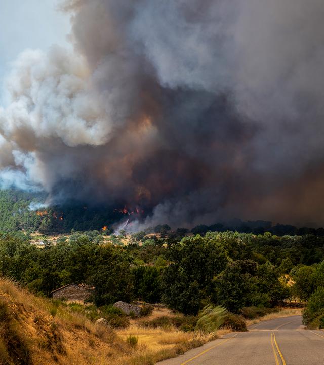 Eine dichte Rauchsäule in der Nähe von El Castañar de El Tiemblo steigt während eines Waldbrandes auf.