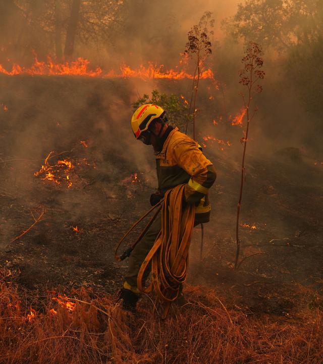 Ein Feuerwehrmann trägt einen Schlauch, während er einen Waldbrand bekämpft.