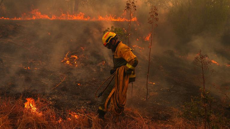 Ein Feuerwehrmann trägt einen Schlauch, während er einen Waldbrand bekämpft.