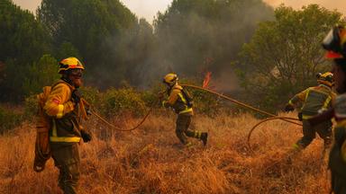 Feuerwehrleute bekämpfen einen Waldbrand. Spanien kämpft gegen zahlreiche Waldbrände.