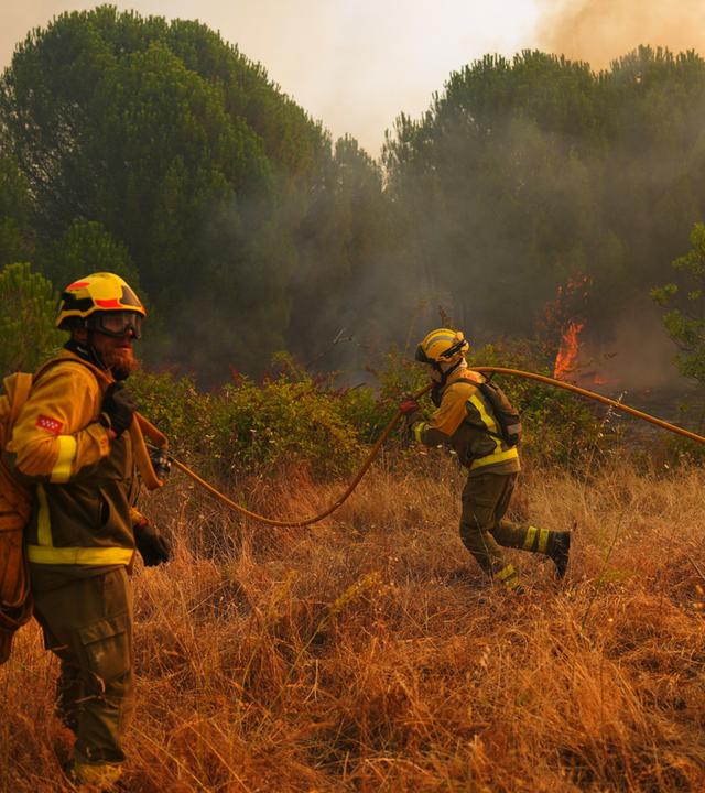 Feuerwehrleute bekämpfen einen Waldbrand. Spanien kämpft gegen zahlreiche Waldbrände.