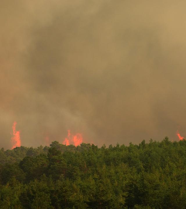 22.07.2026, Spanien, Condemios de Arriba: Ein Waldbrand breitet sich in der Nähe von Condemios de Arriba in der Provinz Guadalajara aus.