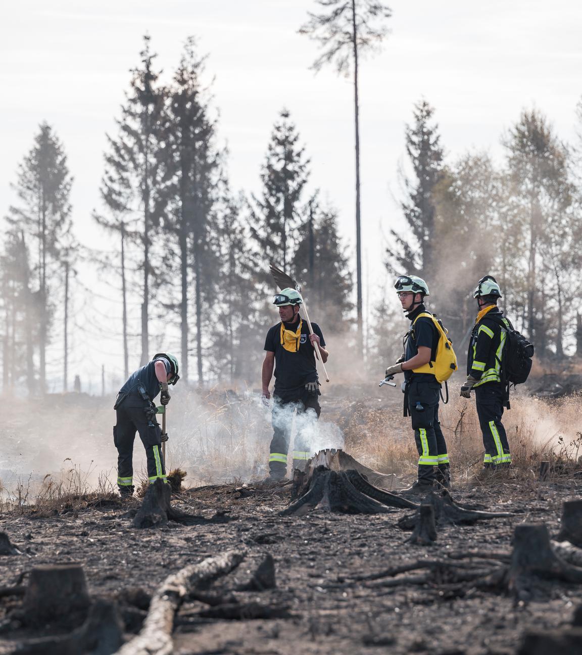Mehrere Feuerwehrleute, die die Brände löschen. Um sie herum ist der zerstörte Wald zu sehen.