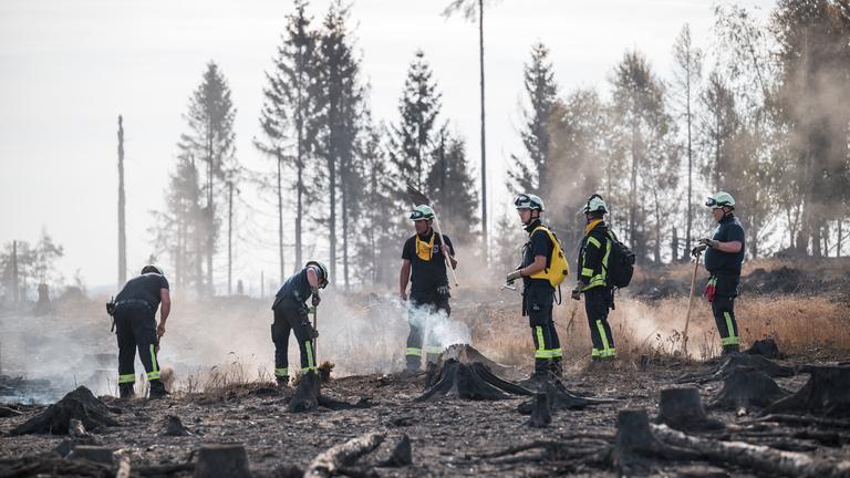 Mehrere Feuerwehrleute, die die Brände löschen. Um sie herum ist der zerstörte Wald zu sehen.