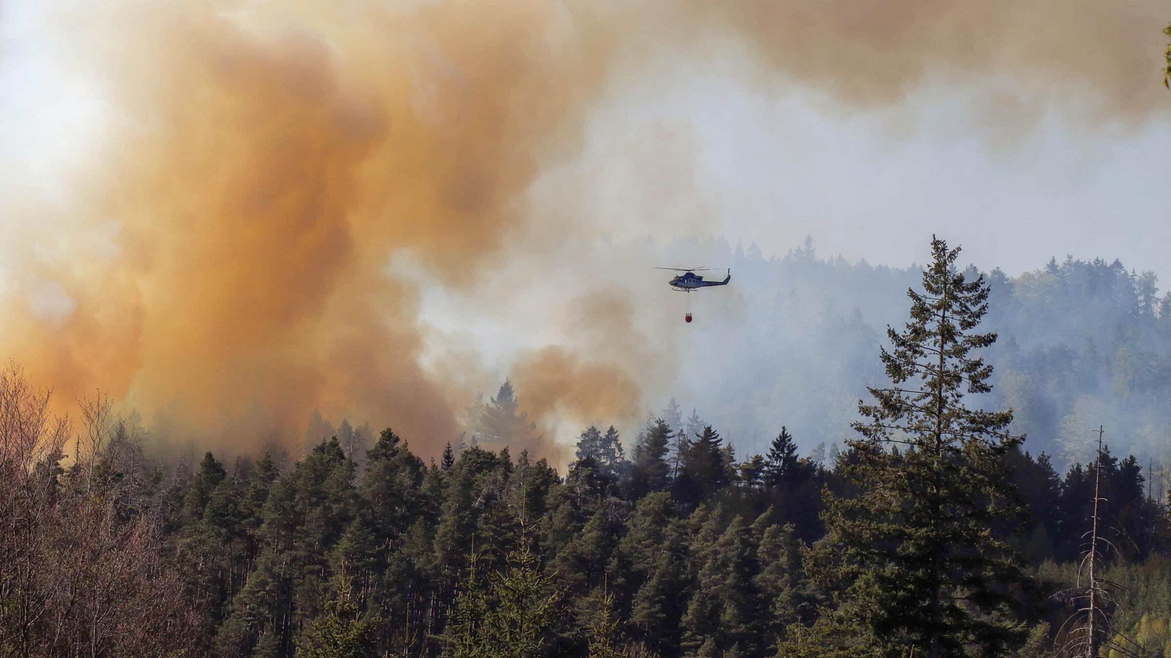 Rauch steigt aus einem Waldgebiet im Nationalpark Böhmische Schweiz in Jetrichovice auf. Ein Hubschrauber mit Löschmittel ist über dem Wald zu sehen.