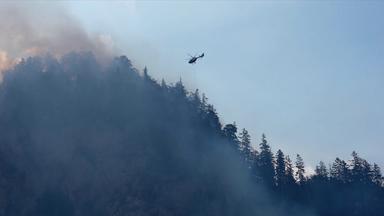 Ein Feuerwehr-Hubschrauber löscht den Waldbrand