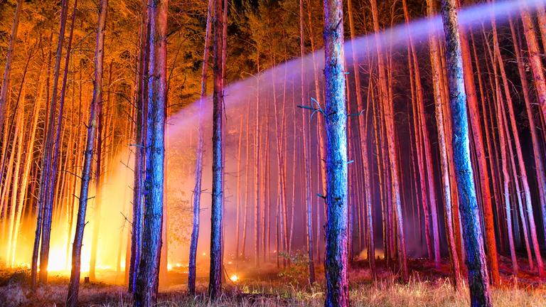 Brennender Wald in der Nähe von Klausdorf, Brandenburg