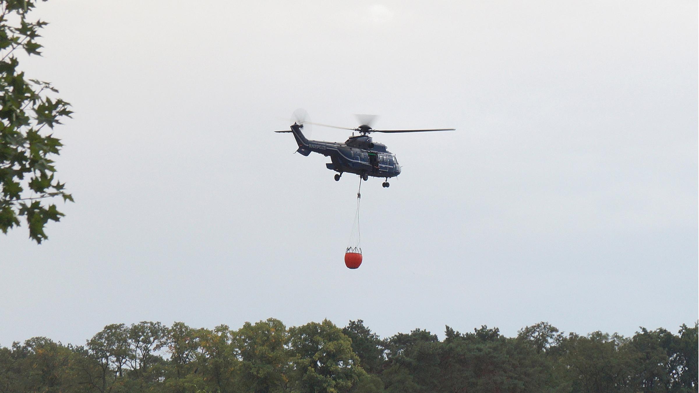 Ein Super-Puma-Hubschrauber der Bundespolizei fliegt mit Löschwasserbehälter über den Wald.