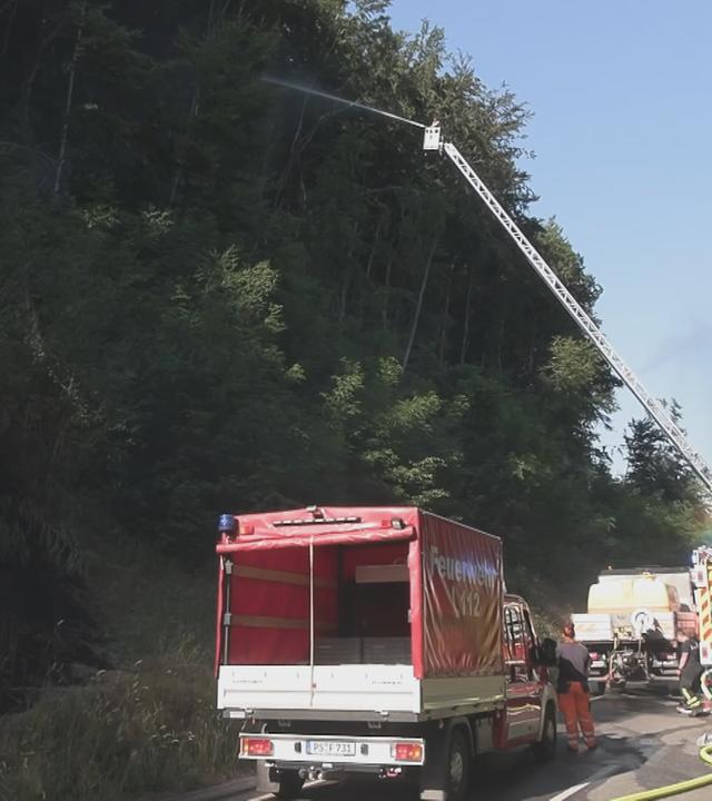 Feuerwehr löscht Waldbrand