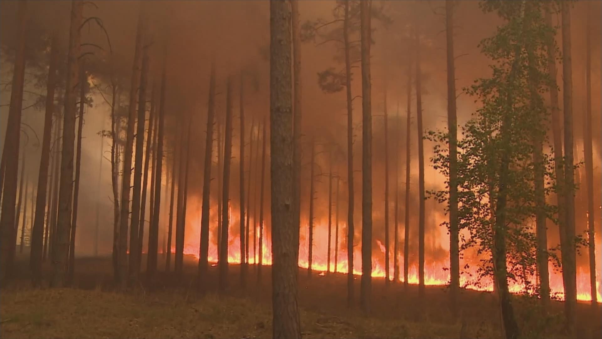 Waldbrand
