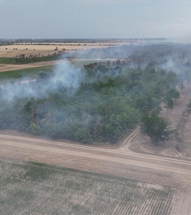 Waldbrand