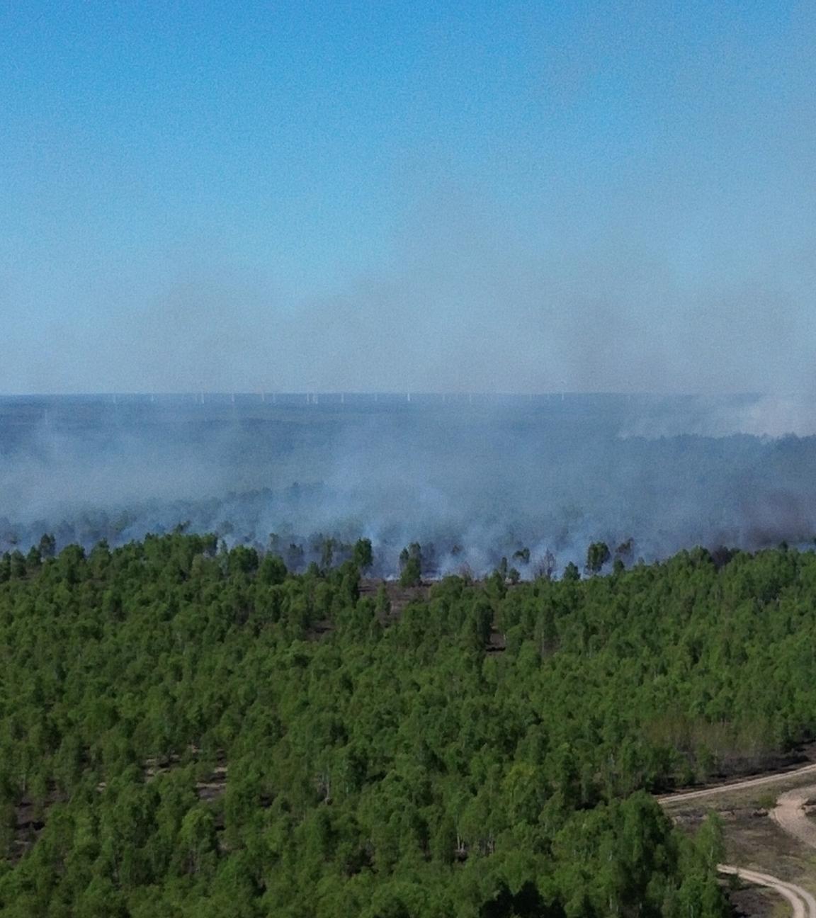 Ein Waldbrand auf einem ehemaligen Truppenübungsplatz bei Jüterbog in Brandenburg hat sich ausgedehnt.