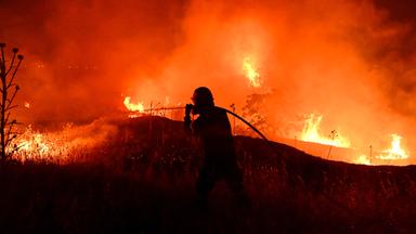 Ein Feuerwehrmann bekämpft einen Waldbrand am Stadtrand der im Norden Griechenlands gelegenen Stadt Thessaloniki.